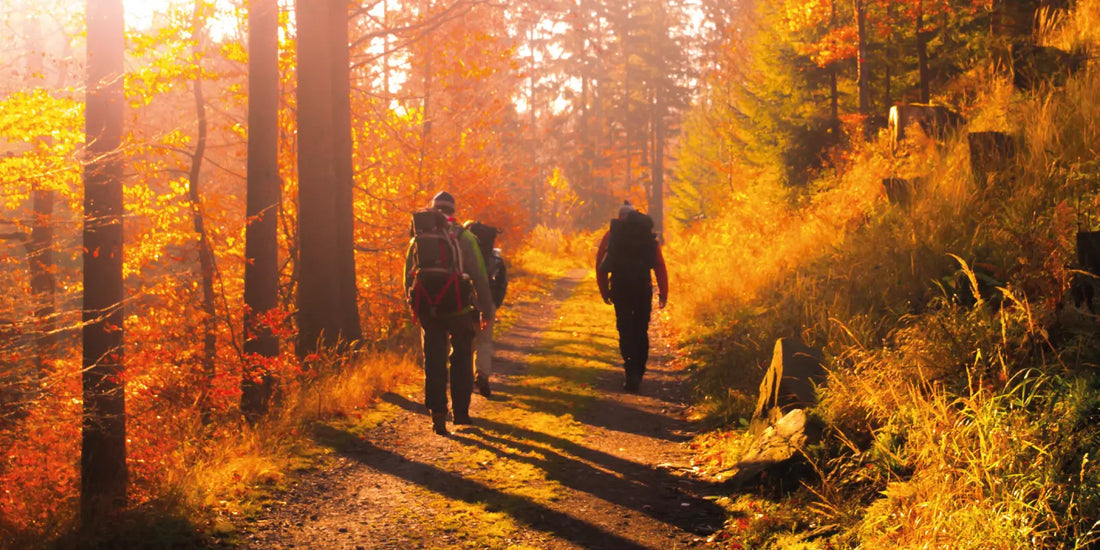 Herbstwanderweg