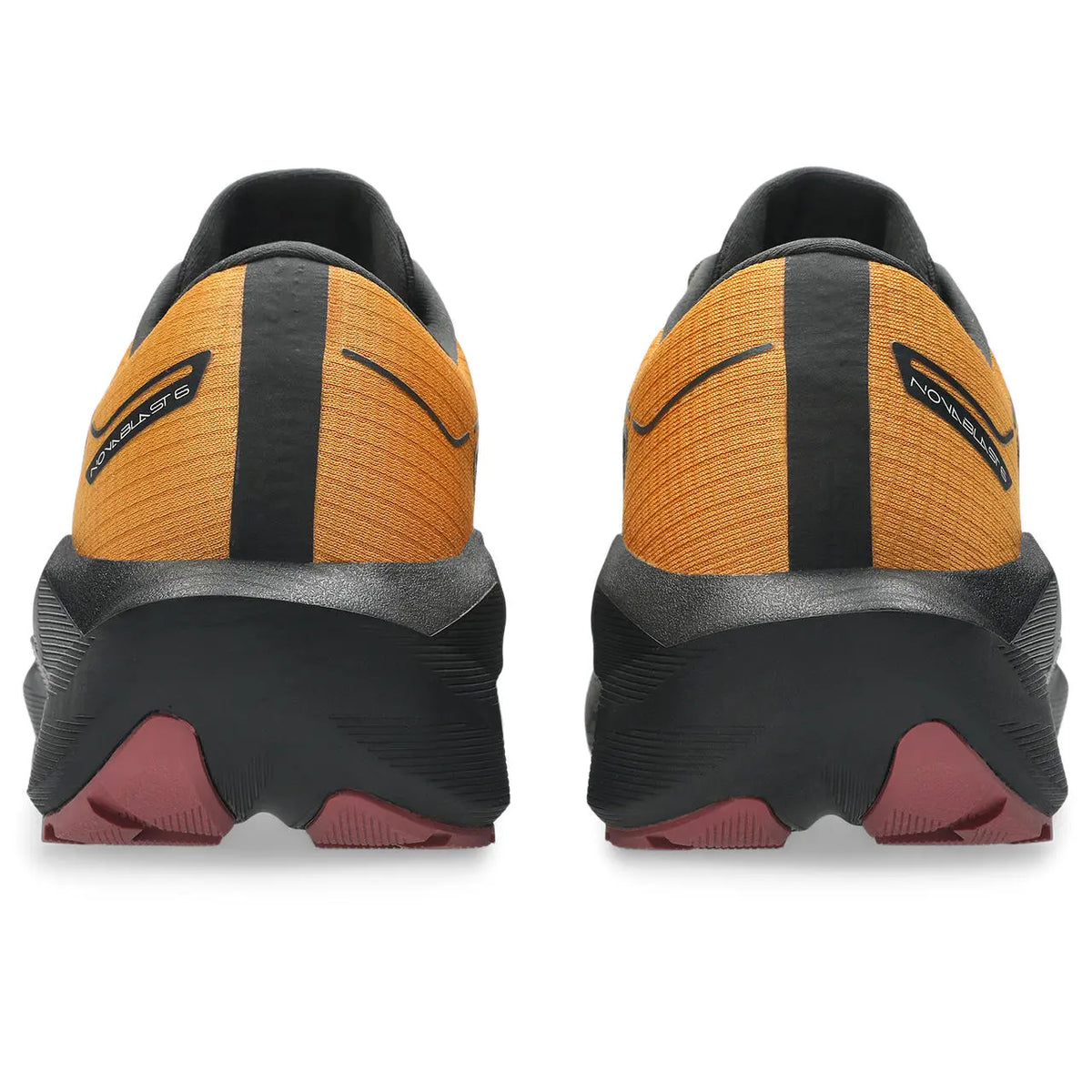 Asics Herrenlaufschuhe Novablast 6 GTX, Sandstorm/Black – Bild 