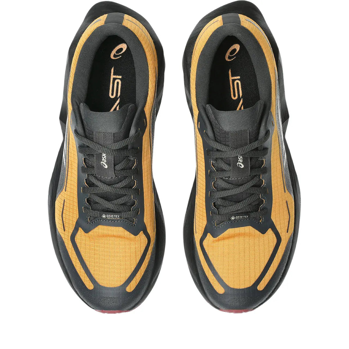 Asics Herrenlaufschuhe Novablast 6 GTX, Sandstorm/Black
