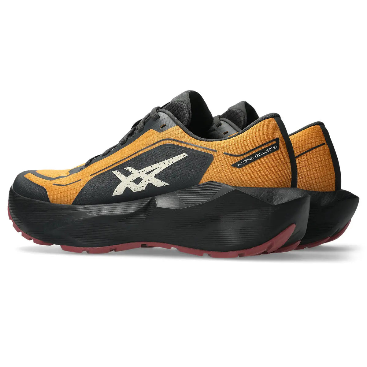 Asics Herrenlaufschuhe Novablast 6 GTX, Sandstorm/Black – Bild 