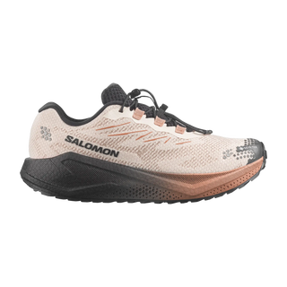 Salomon Herrenlaufschuhe Aero Blaze 4 GRVL GTX, Vanilla Ice / Black / Burro