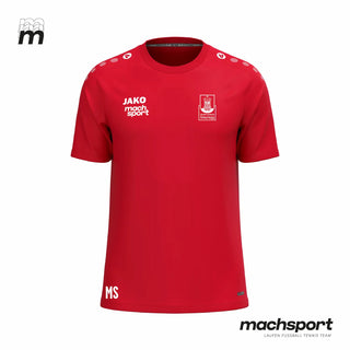 SV Steyregg KM/1b T-Shirt - machsport