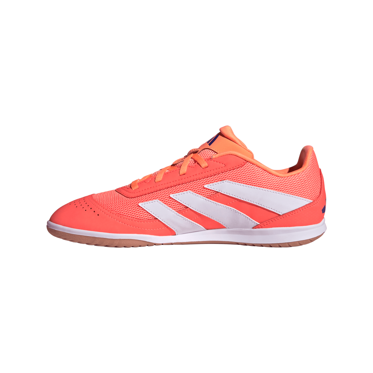 Adidas Hallenfußballschuhe Predator Club In Sala - machsport