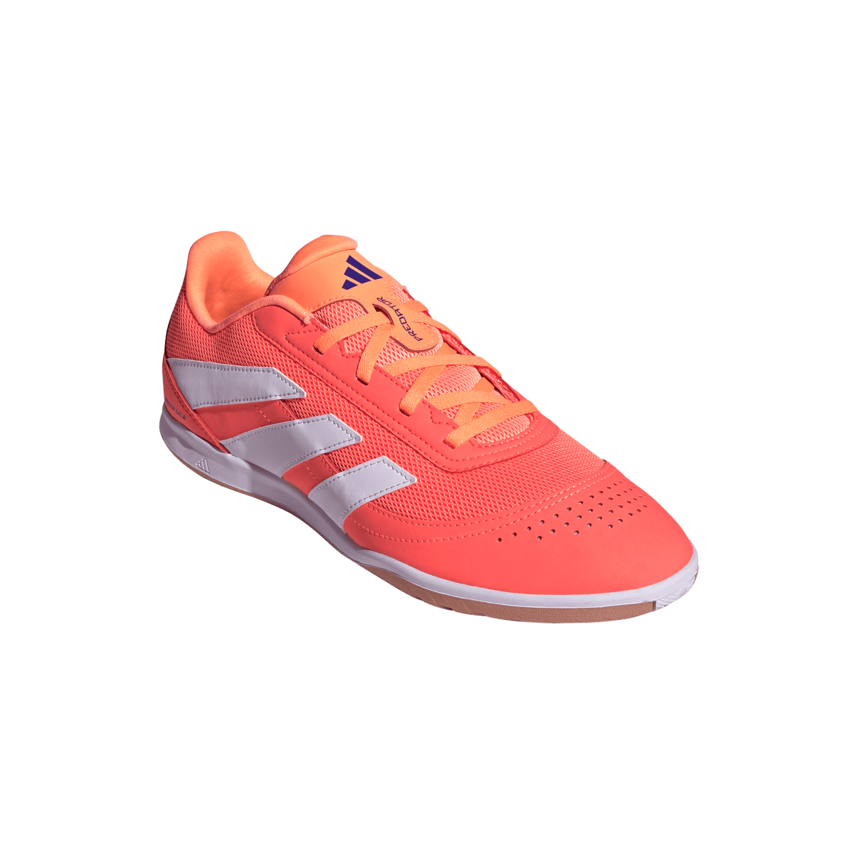 Adidas Hallenfußballschuhe Predator Club In Sala - machsport – Bild 