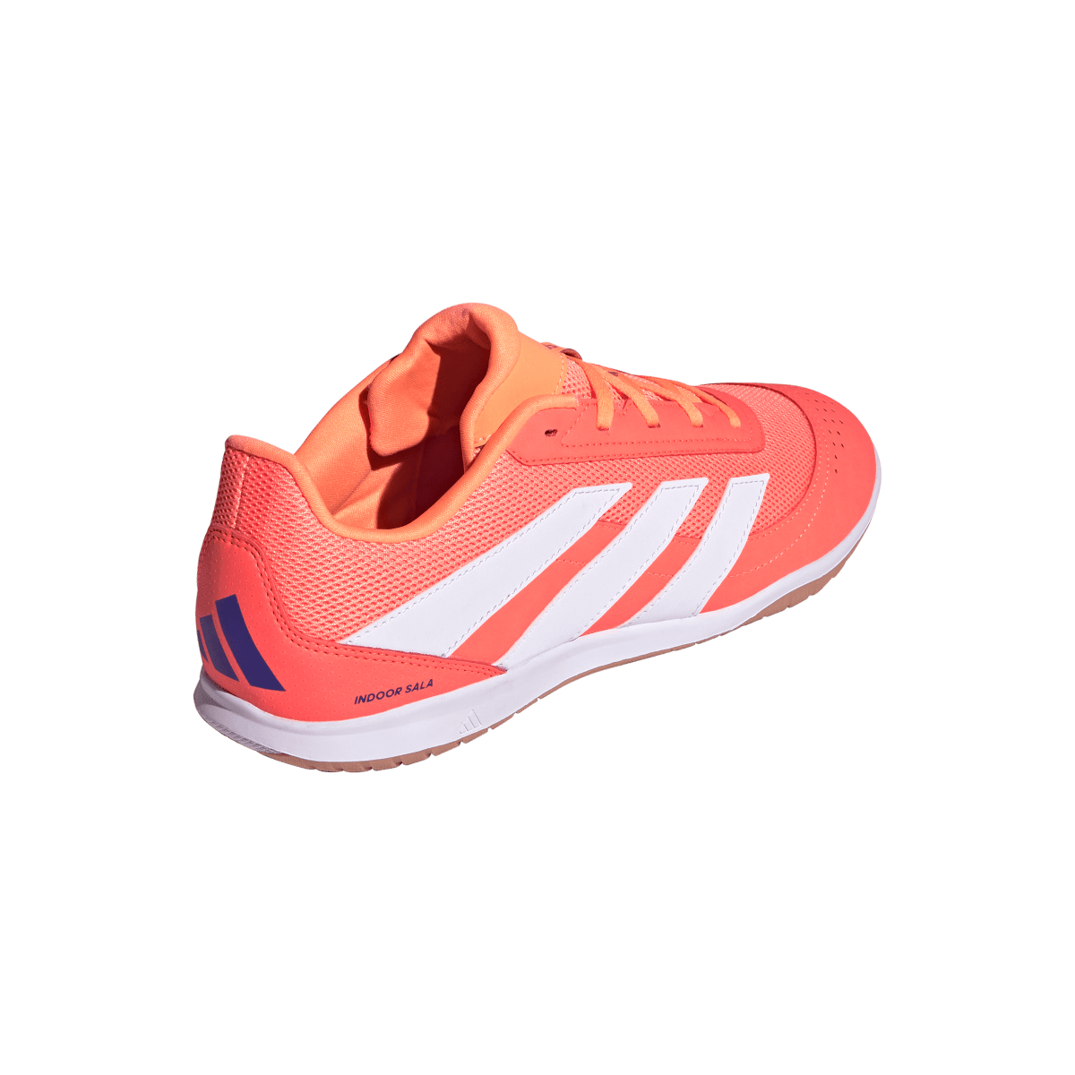 Adidas Hallenfußballschuhe Predator Club In Sala - machsport – Bild 