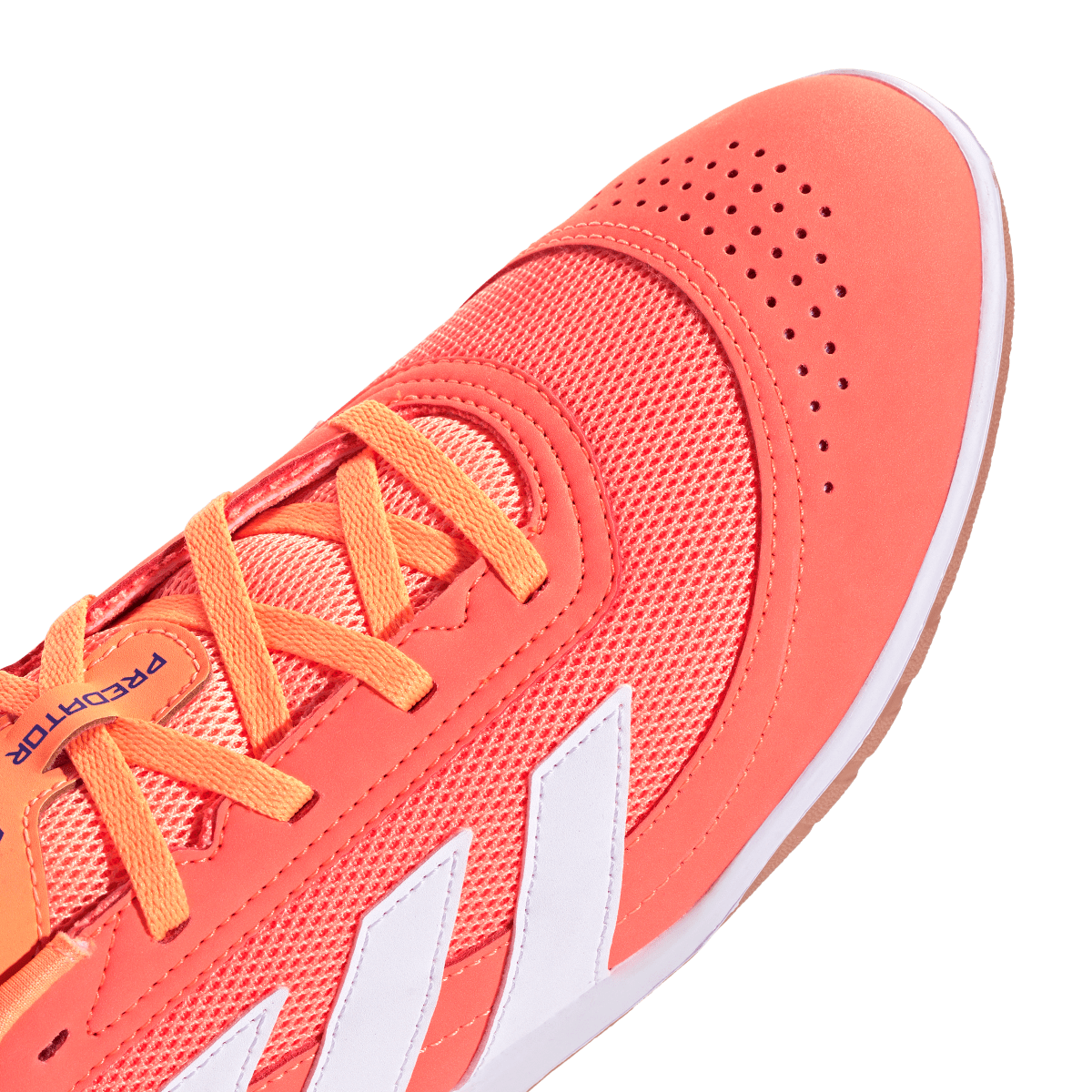 Adidas Hallenfußballschuhe Predator Club In Sala - machsport – Bild 