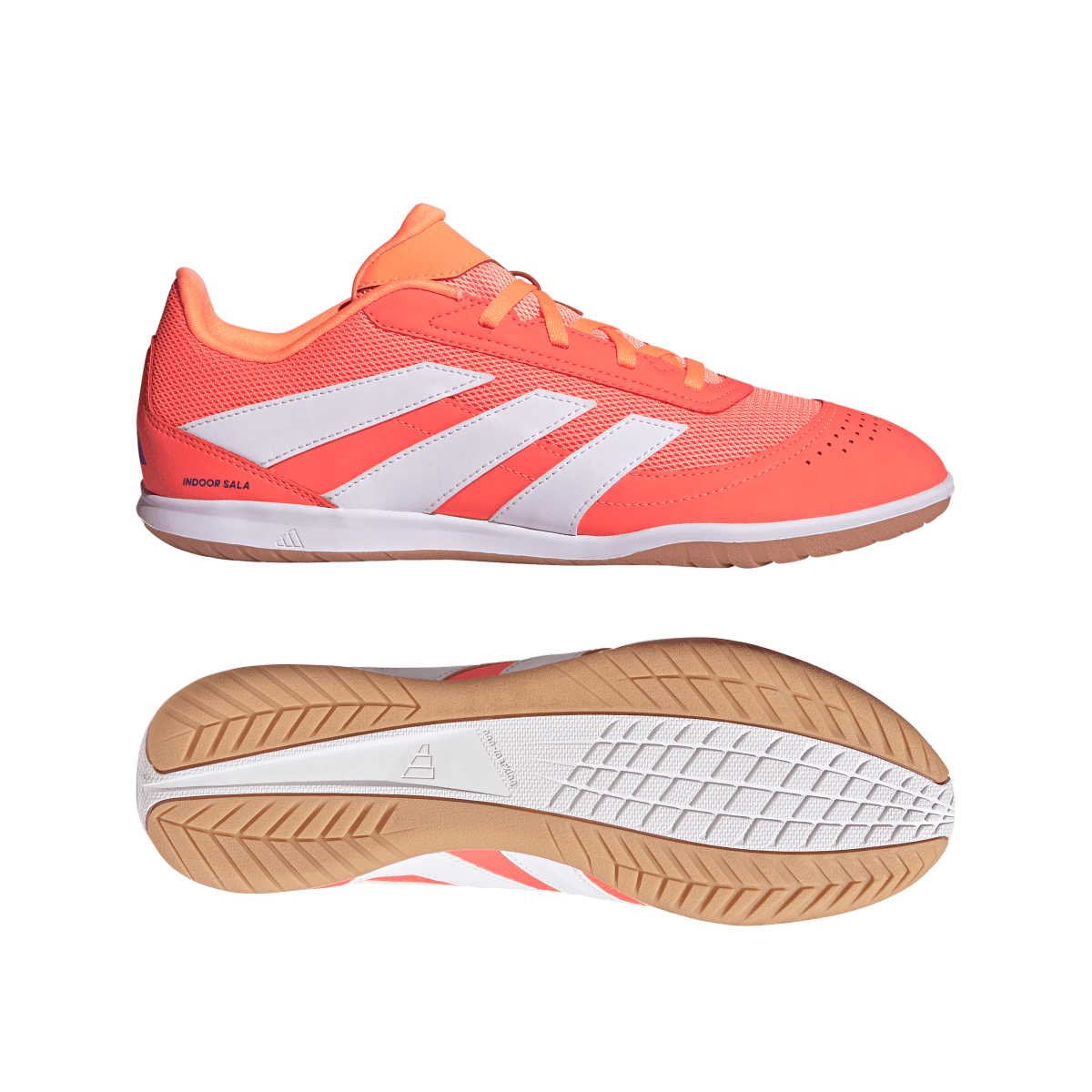Adidas Hallenfußballschuhe Predator Club In Sala - machsport – Bild 