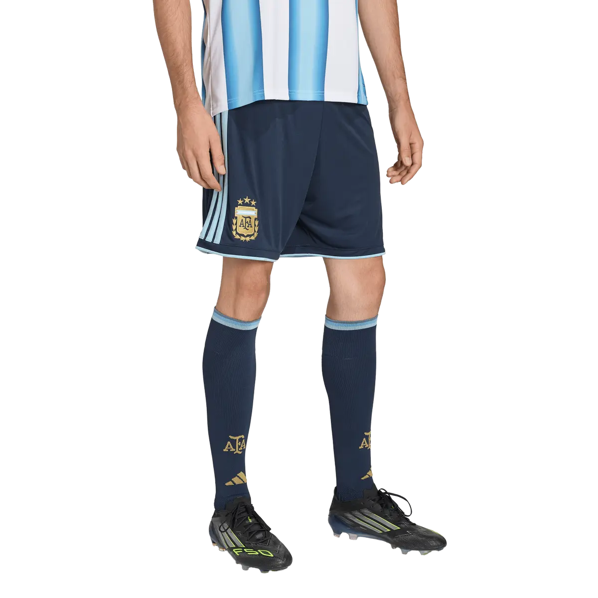 Argentinien Herrenfußballshort Home, Replica Heimshorts mit Climacool für Training, Spiel und Fanwear - machsport