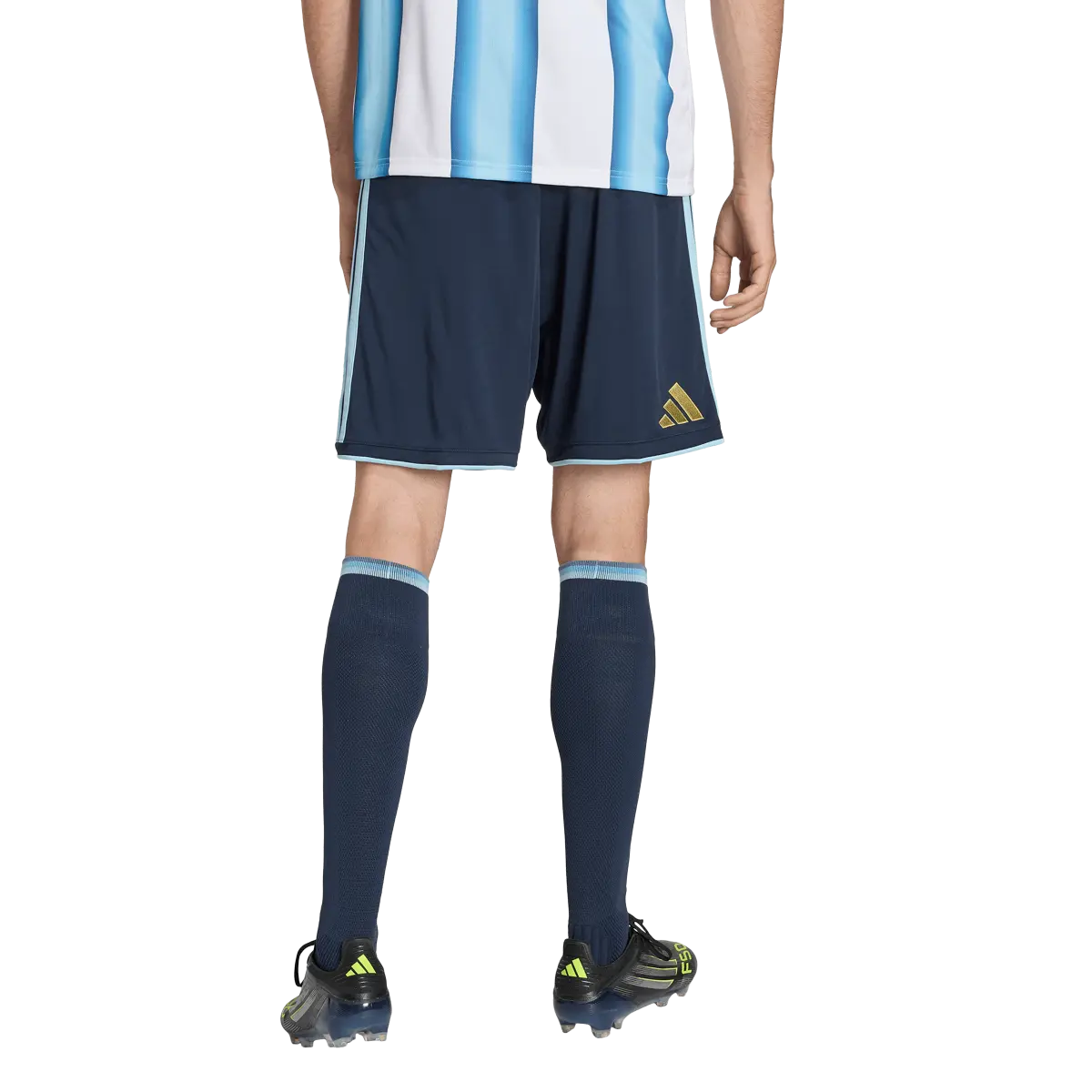 Argentinien Herrenfußballshort Home, Replica Heimshorts mit Climacool für Training, Spiel und Fanwear - machsport – Bild 