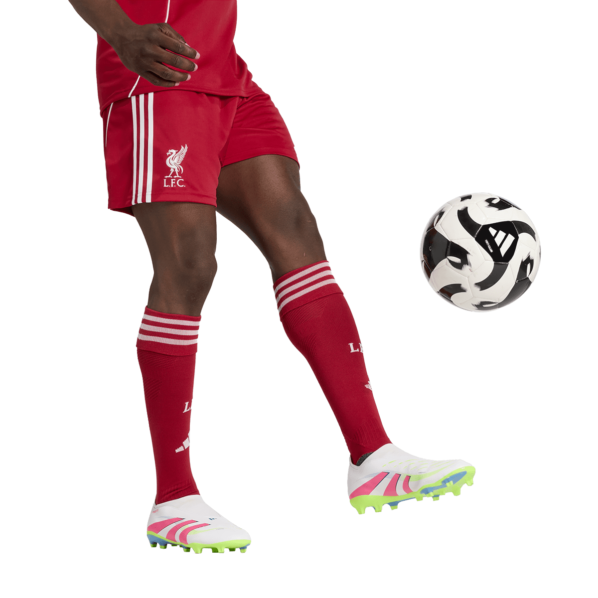 FC Liverpool Home Short 25/26 - machsport – Bild 