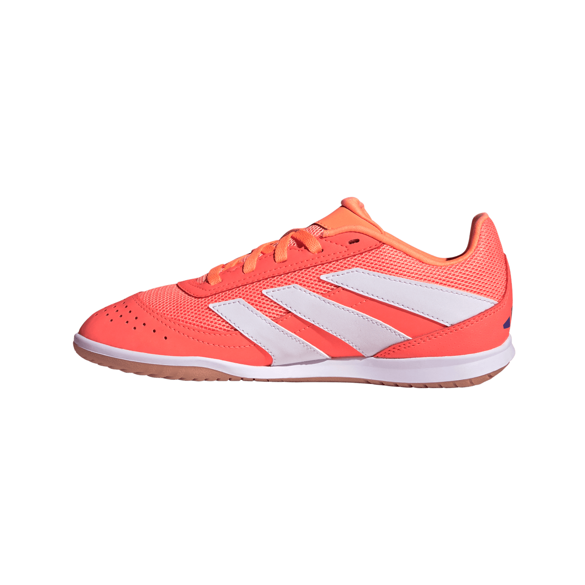 Adidas Kinderhallenfußballschuhe Predator Club In Sala - machsport – Bild 