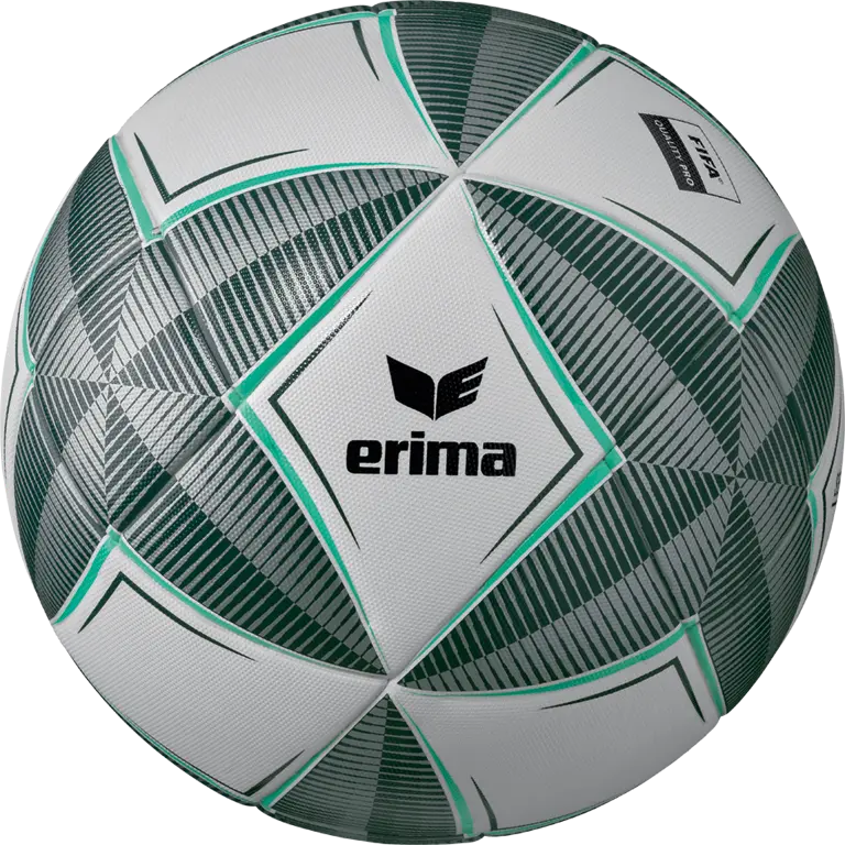 Erima Senzor-Star Pro 10er-Set mit 10 Fußballgröße 5 und Ballnetz für Fußballtraining und -spiele