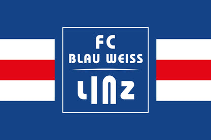 FC Blau-Weiß Linz Stockfahne 40x60 cm - machsport