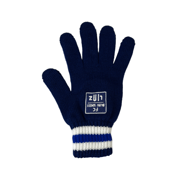 FC Blau-Weiß Linz Handschuhe - machsport – Bild 