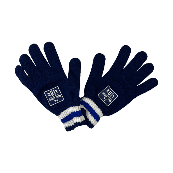 FC Blau-Weiß Linz Handschuhe - machsport – Bild 