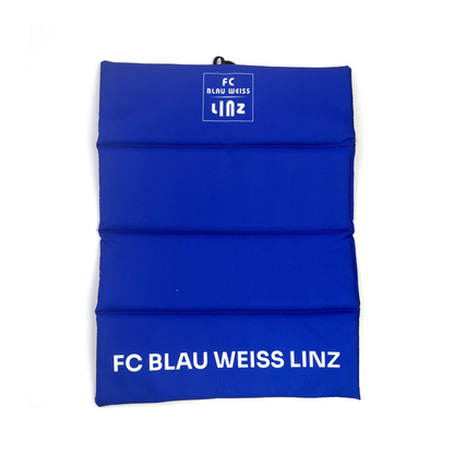 FC Blau-Weiß Linz Sitzkissen Klein - machsport
