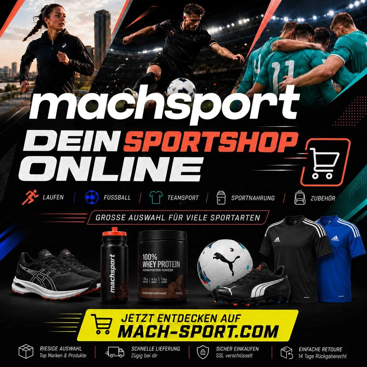 machsport Banner (.png)