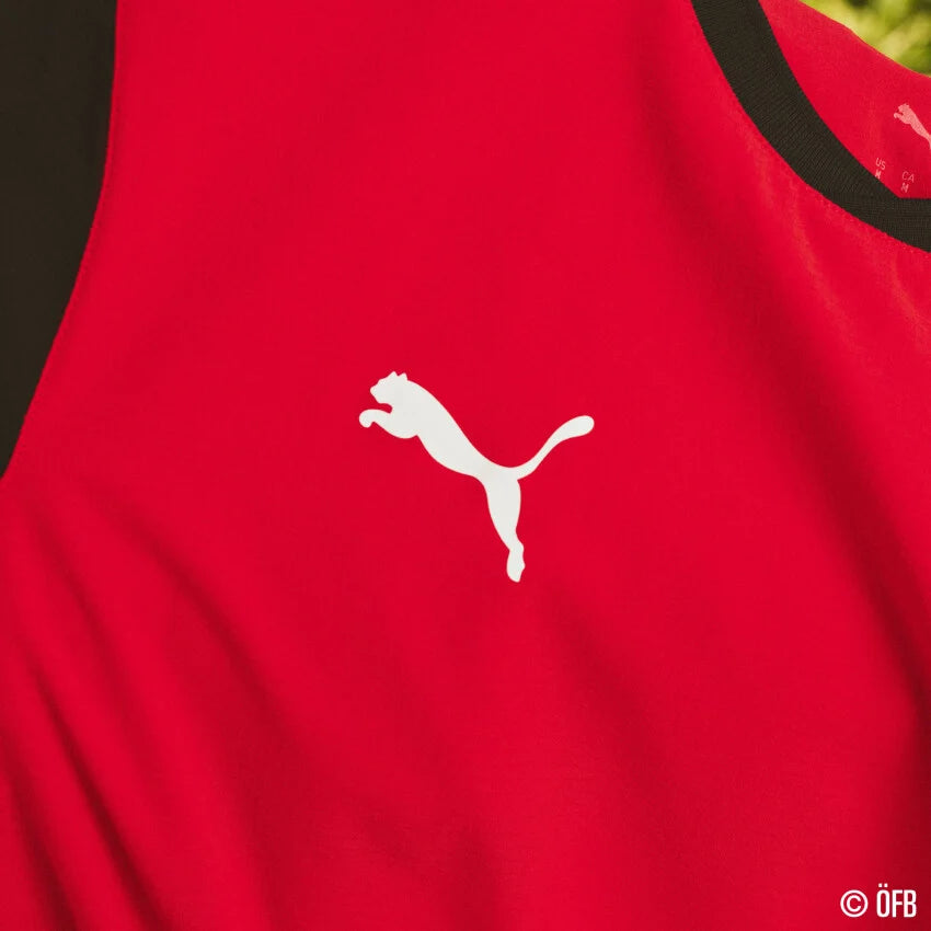 Österreich ÖFB Damentrikot Home Jersey Replica 2026 - machsport