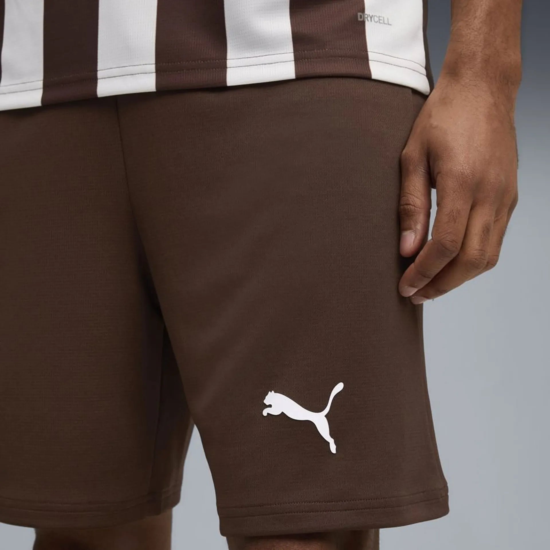 FC St. Pauli Shorts Replica 25/26 - machsport – Bild 