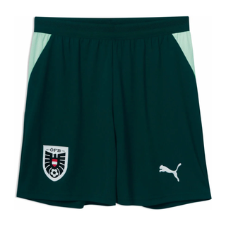 ÖFB Herrenfußballhose Shorts Replica - machsport
