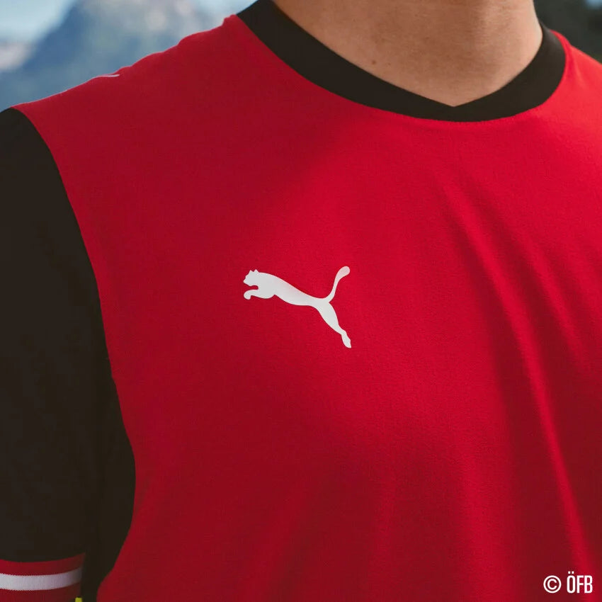 Österreich ÖFB Herrentrikot Home Jersey Replica 2026 - machsport – Bild 