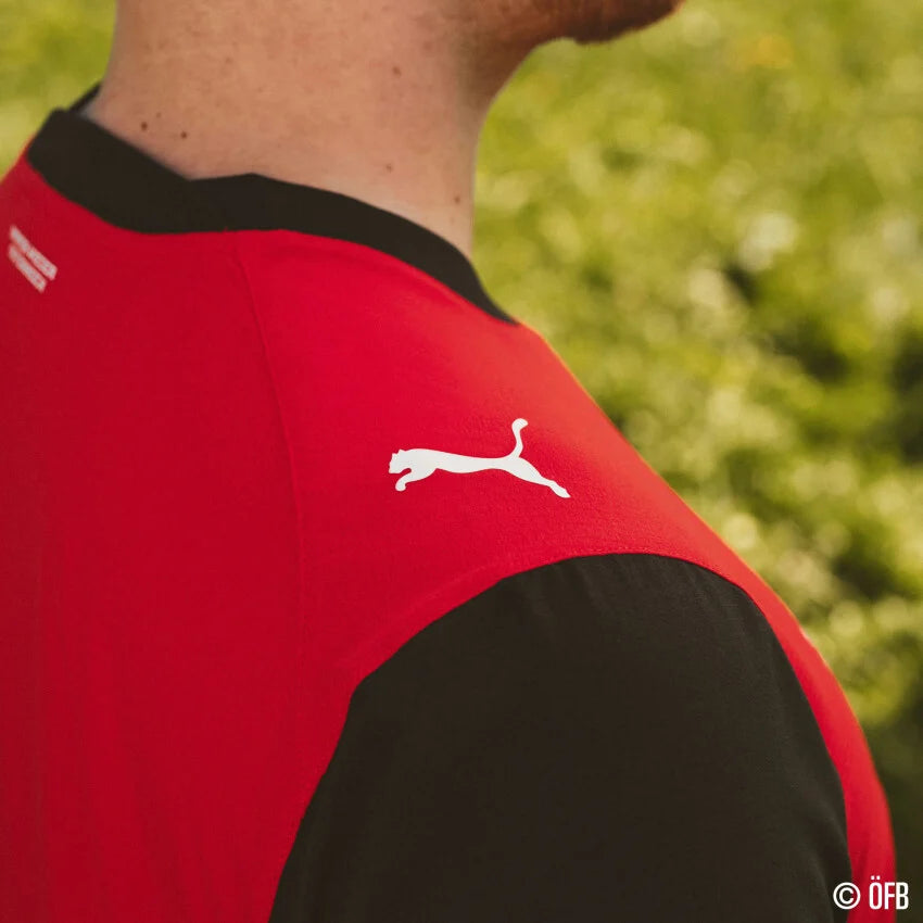 Österreich ÖFB Herrentrikot Home Jersey Replica 2026 - machsport