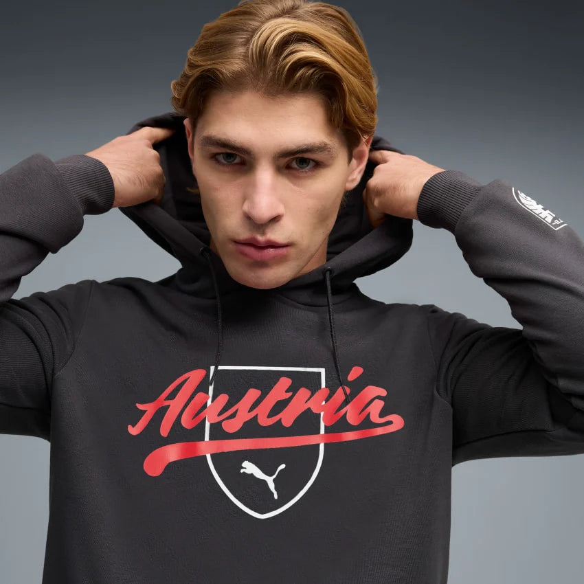 ÖFB Herrenfußballpullover Culture Hoody - machsport