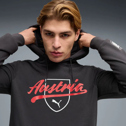 ÖFB Herrenfußballpullover Culture Hoody - machsport