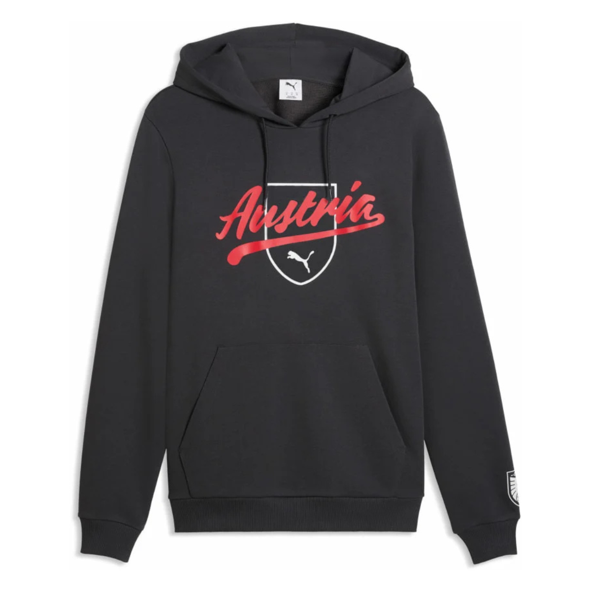 ÖFB Herrenfußballpullover Culture Hoody - machsport – Bild 