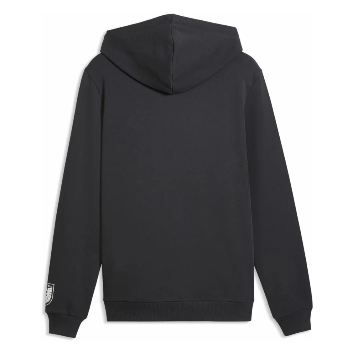 ÖFB Herrenfußballpullover Culture Hoody - machsport