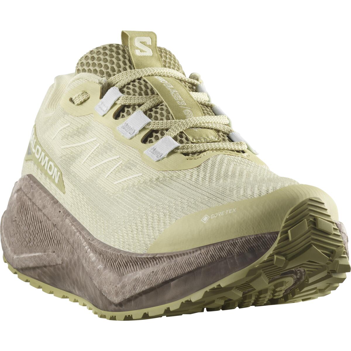 Salomon Damenlaufschuhe Aero Blaze 3 GRVL GTX - machsport