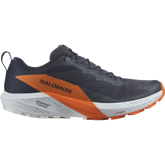 Salomon Herrenlaufschuhe Sense Ride 5 GTX – grau / 42