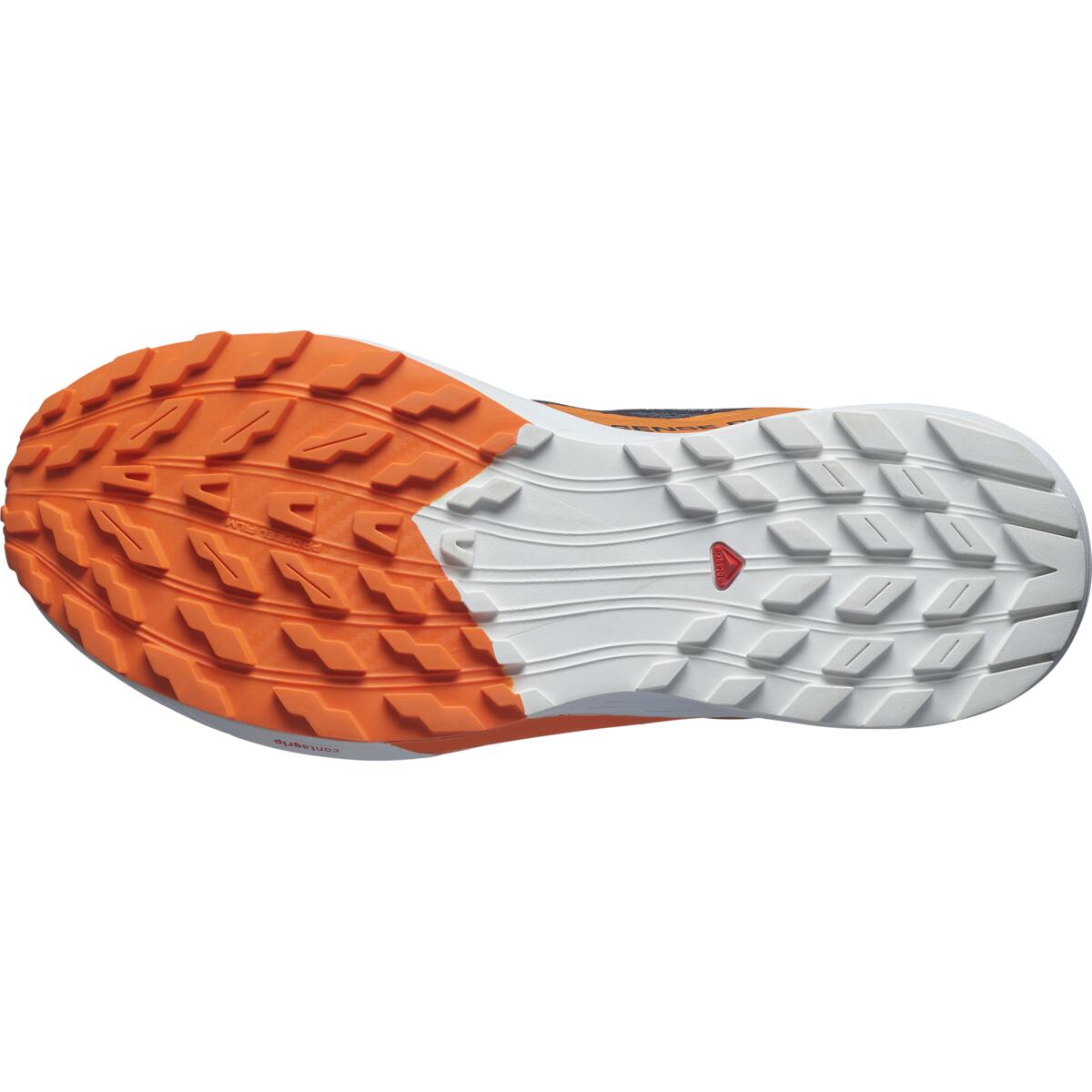 Salomon Herrenlaufschuhe Sense Ride 5 GTX - machsport